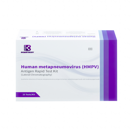 Kit de prueba de HMPV: kit de prueba rápida de metaneumovirus humano Bioantibody